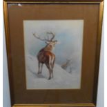 After ARCHIBALD THORBURN - Red Deer in the Snow, lithograph marked Pl 37 from 'British Mammals' 1920