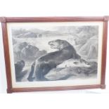 THOMAS LANDSEER (?) after Sir Edwin Landseer - 'Otter with Salmon', signed by the artist, plate size
