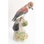 A large late 19th / early 20th century hand-decorated Dresden porcelain model of a crested bird (