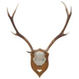 A mid 20th century set of deer antlers mounted on a shield-shaped oak back; the plaque detailing the