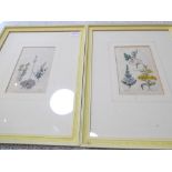 A pair of framed and glazed (later) hand-coloured 18th/19th century botanical engravings (image