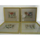 A framed and glazed (later) set of four 18th/19th century hand-coloured botanical engravings (