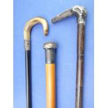 Three silver-topped walking canes, two hallmarked and the third continental