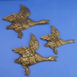 A set of three early to mid 20th century graduated brass ducks in flight (the largest 30cm wide) (