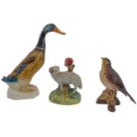 A large Beswick model of a mallard (902), restored at neck; a Beswick model of a mistle thrush (