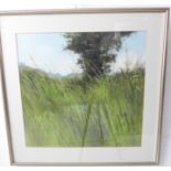 NEIL CANNING (b. 1960) - 'Lone Tree Behind Tall Grass', watercolour study, signed lower right (