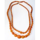 Two amber bead necklaces, each with graduated oval beads. The larger measuring 25 x 20 mm and the