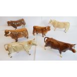 Six Beswick cattle figures to include two Scottish Longhorn. Two marked 'BCC 1998' and all with