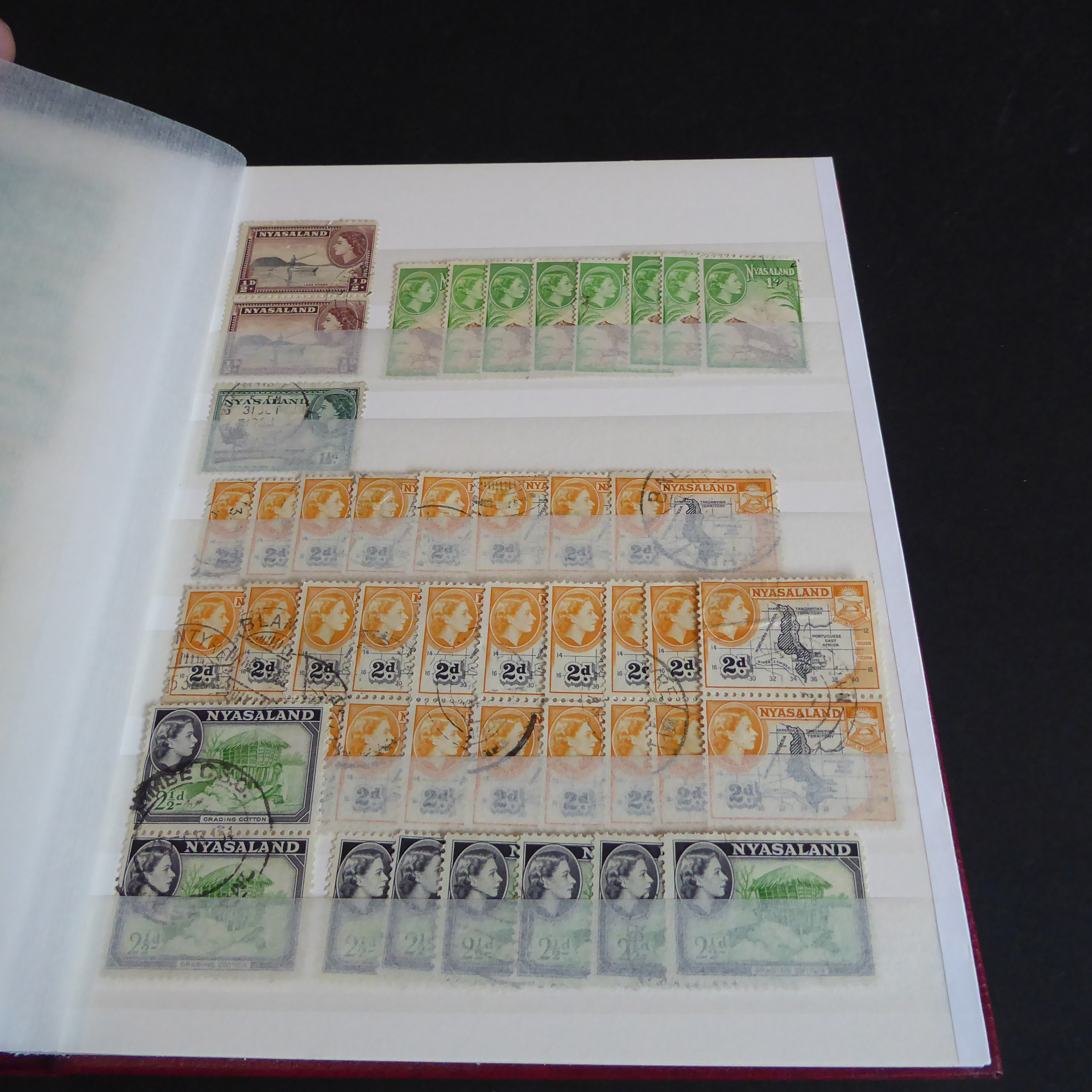 A Stanley Gibbons stockbook containing stamps of Nyasaland (more than 1,000 stamps with some - Image 11 of 14