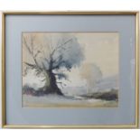 A mid-20th century watercolour sketch of trees within countryside surroundings and hills to the