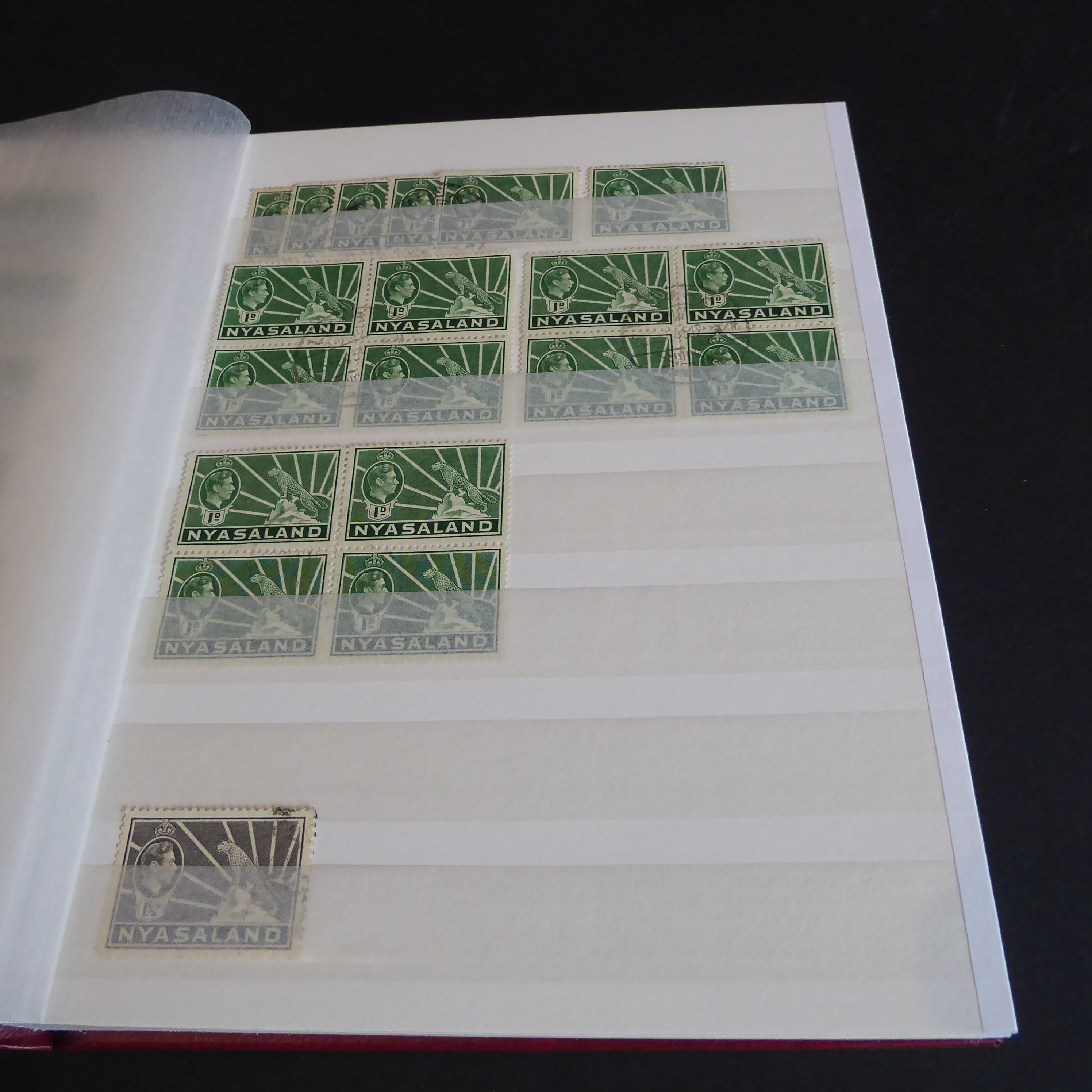 A Stanley Gibbons stockbook containing stamps of Nyasaland (more than 1,000 stamps with some - Image 5 of 14