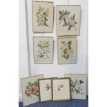 Two sets of botanical prints: after Sybil Emberton (3 measuring 39cm x 33cm and 3 measuring 39cm x