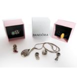 Seven Pandora silver charms in original boxes and a .925 silver pendant and chain (boxed)