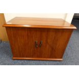 20TH CENTURY 2 DOOR CABINET WITH FITTED INTERIOR,