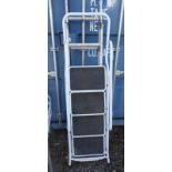 ALUMINIUM STEP LADDER & 1 OTHER