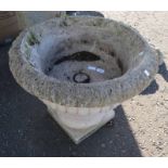 CONCRETE GARDEN PLANTER ON PEDESTAL,