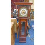 19TH CENTURY MAHOGANY LONG CASE CLOCK WITH PAINTED DIAL,