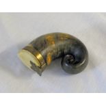 19TH CENTURY RAMS HORN SNUFF MULL