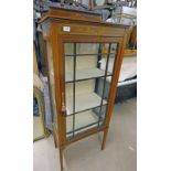 LATE 19TH CENTURY INLAID MAHOGANY DISPLAY CABINET WITH GLAZED PANEL DOOR AND PAINTED FLORAL