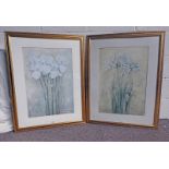 2 FRAMED WATERCOLOURS OF FLOWERS,