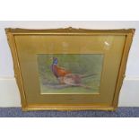 C WHYMPER, PAIR OF PHEASANTS, MONOGRAMMED,