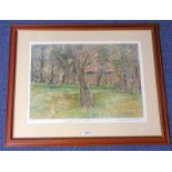 RICHARD DEMARCO MERCHISTON CASTLE SCHOOL SIGNED FRAMED LIMITED EDITION PRINT NO 54 OF 100 40 X