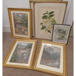 SELECTION OF FRAMED PICTURES,