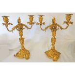 A PAIR OF 19TH CENTURY ORMOLU TWO-BRANCH CANDELABRA,