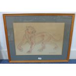 FRANKLYN ROGERS TIGER SIGNED FRAMED DRAWING 39 X 56 CMS