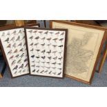 OAK FRAMED MAP OF SCOTLAND AND 2 FRAMED SERIES OF BIRD PRINTS Condition Report: