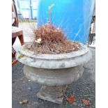 CONCRETE GARDEN PLANTER ON PLINTH BASE