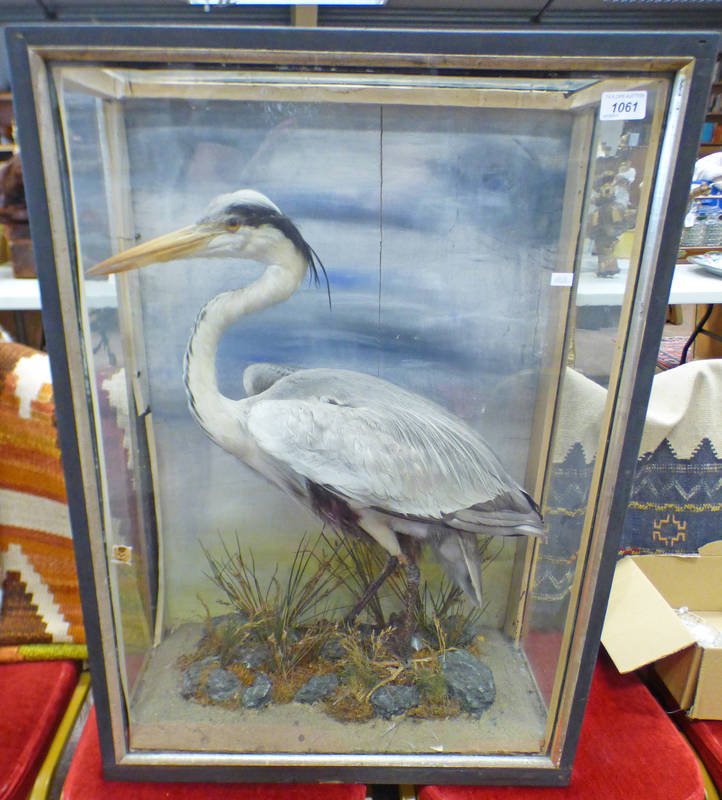 LATE 19TH / EARLY 20TH CENTURY GLAZED TAXIDERMY STUDY OF A EGRET ON FAUX FOLIAGE