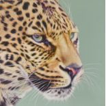 Darryn Eggleton (b.1981) South African"Game Face"Signed and numbered 129/195, giclee print on