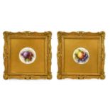 A Pair of Royal Worcester Porcelain Plaques, by Richard Sebright, 1912, of circular form, painted