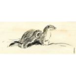 Eileen Soper RMS, SWLA (1905-1990) "A mother stoat and her young" Pencil and charcoal with