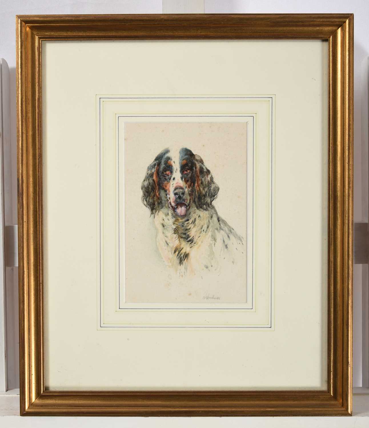 William Woodhouse (1857-1937)Portrait of a SpanielSigned, watercolour, 18cm by 12cm - Image 2 of 3