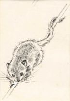 Eileen Soper RMS, SWLA (1905-1990)"Dormouse making his way to the feeder"Pencil and charcoal with