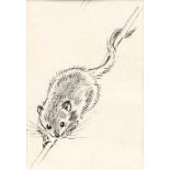 Eileen Soper RMS, SWLA (1905-1990)"Dormouse making his way to the feeder"Pencil and charcoal with