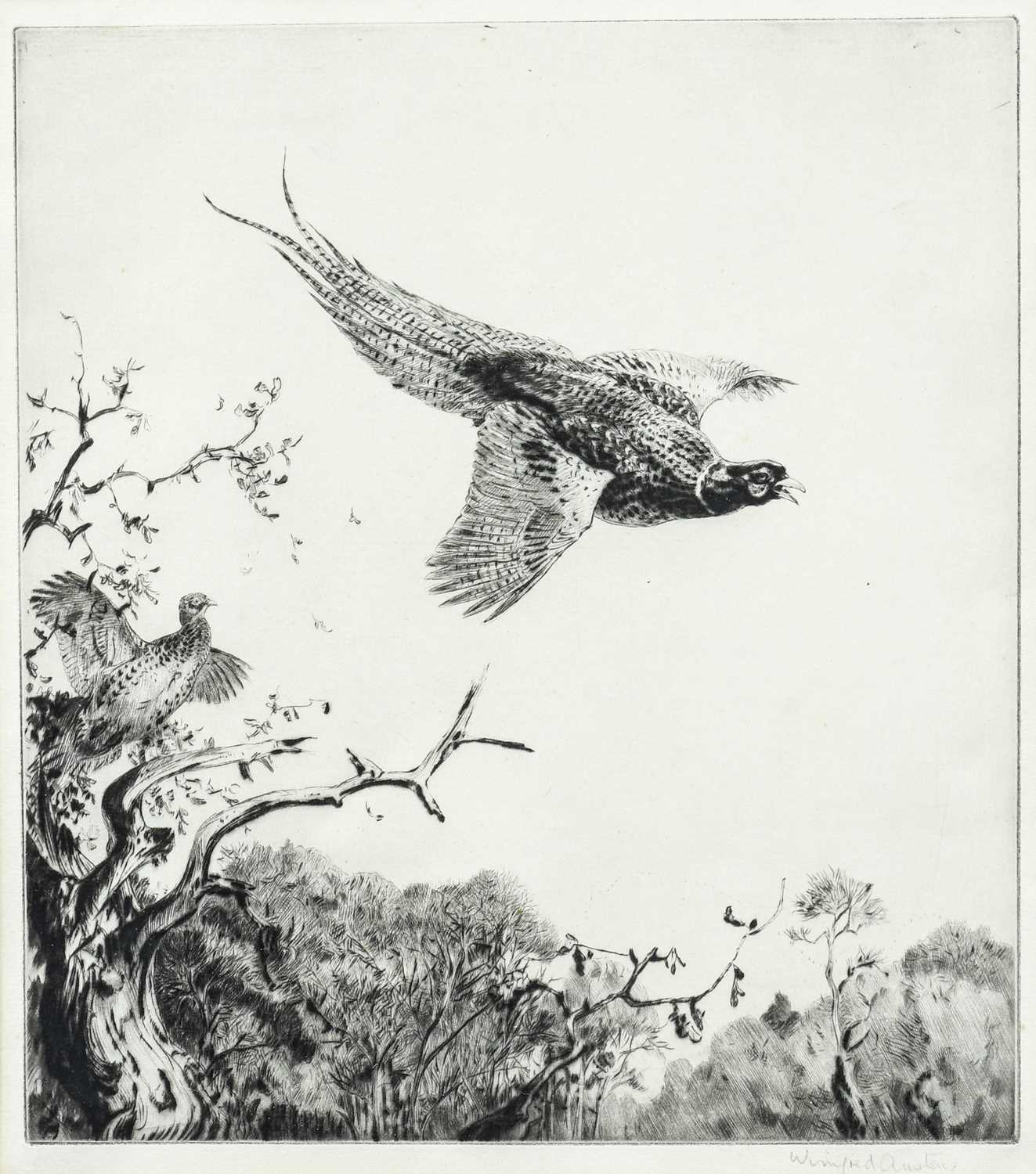 Winifred Austen (1876-1964)"Over the Oak Tops"Signed in pencil, a black and white etching, - Image 3 of 6