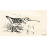 Eileen Soper RMS, SWLA (1905-1990) "Snipe" Pencil and charcoal with bodycolour, 9cm by 16cm