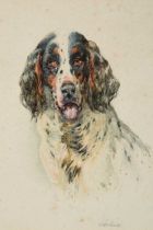 William Woodhouse (1857-1937)Portrait of a SpanielSigned, watercolour, 18cm by 12cm