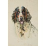 William Woodhouse (1857-1937)Portrait of a SpanielSigned, watercolour, 18cm by 12cm