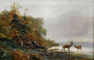 Clarence Henry Roe (1850-1909)Stag and doe drinking in Highland waters Signed, oil on canvas, 49cm