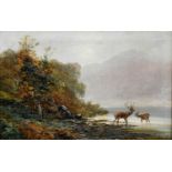 Clarence Henry Roe (1850-1909)Stag and doe drinking in Highland waters Signed, oil on canvas, 49cm