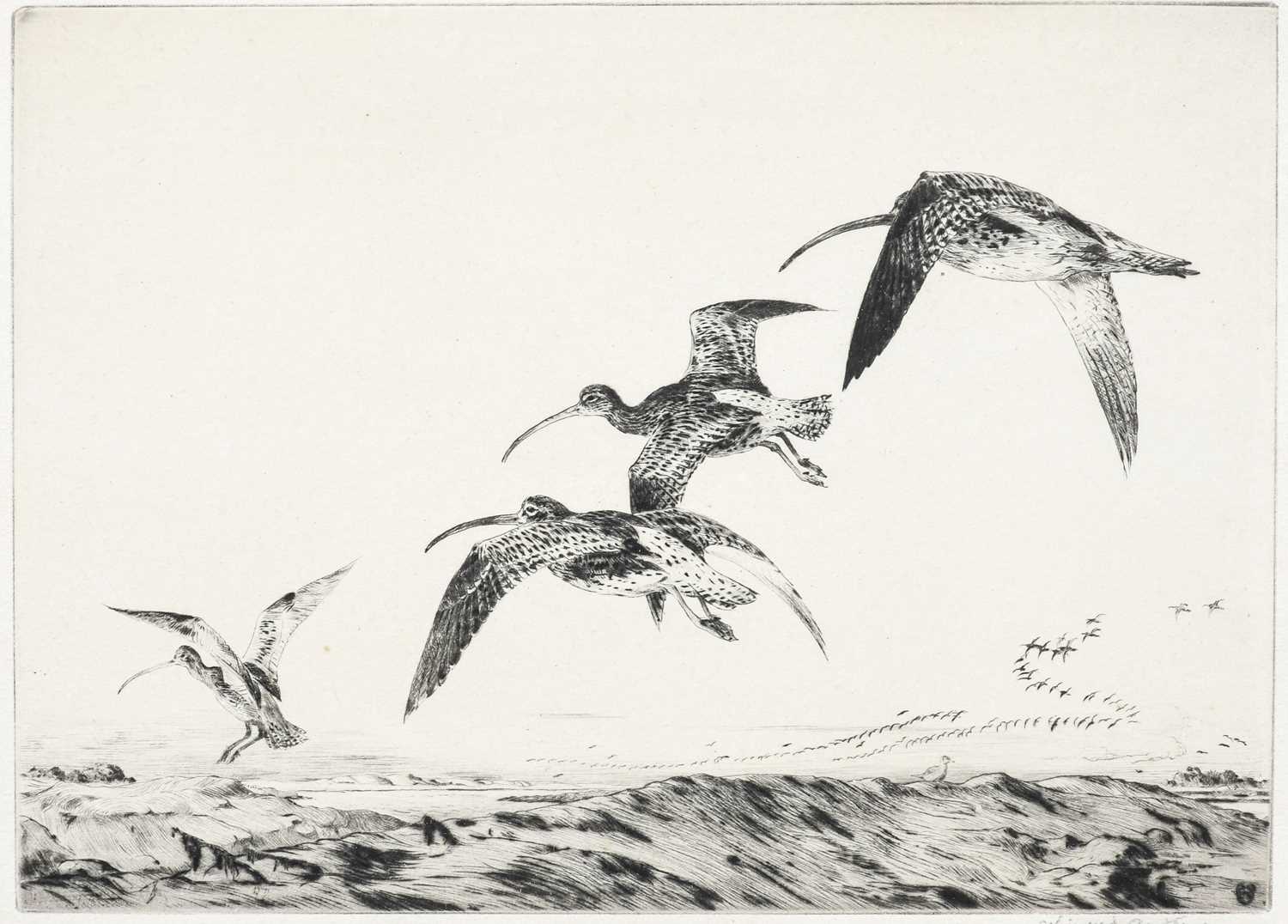 Winifred Austen (1876-1964)"Over the Oak Tops"Signed in pencil, a black and white etching,