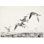 Winifred Austen (1876-1964)"Over the Oak Tops"Signed in pencil, a black and white etching,