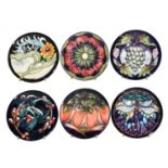 Six modern Moorcroft coasters, Tomato like plants orange on blue, Dragonfly, Winter Berries Trial,