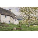 A J Makinson (20th century) Sheep grazing at rest under a tree in blossom Signed, oil on canvas