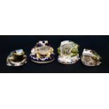 Royal Crown Derby Imari paperweights; Toad (certificate), Fountain Frog, Mullberry Hall Frog and