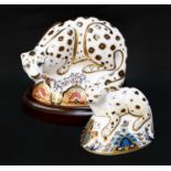 Royal Crown Derby Imari paperweights; Snow Leopard (stand and certificate) and Leopard Cub (